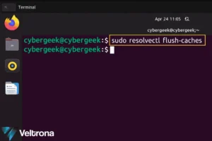Veltrona blog post about the DNS Flush Command.