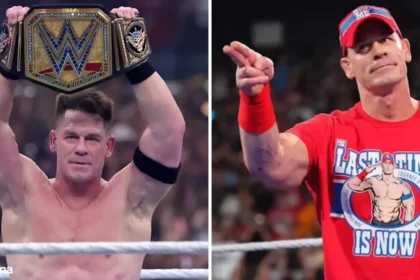 Veltrona blog post about the John Cena Cancer.
