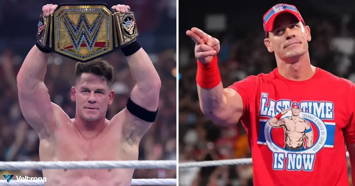 Veltrona blog post about the John Cena Cancer.